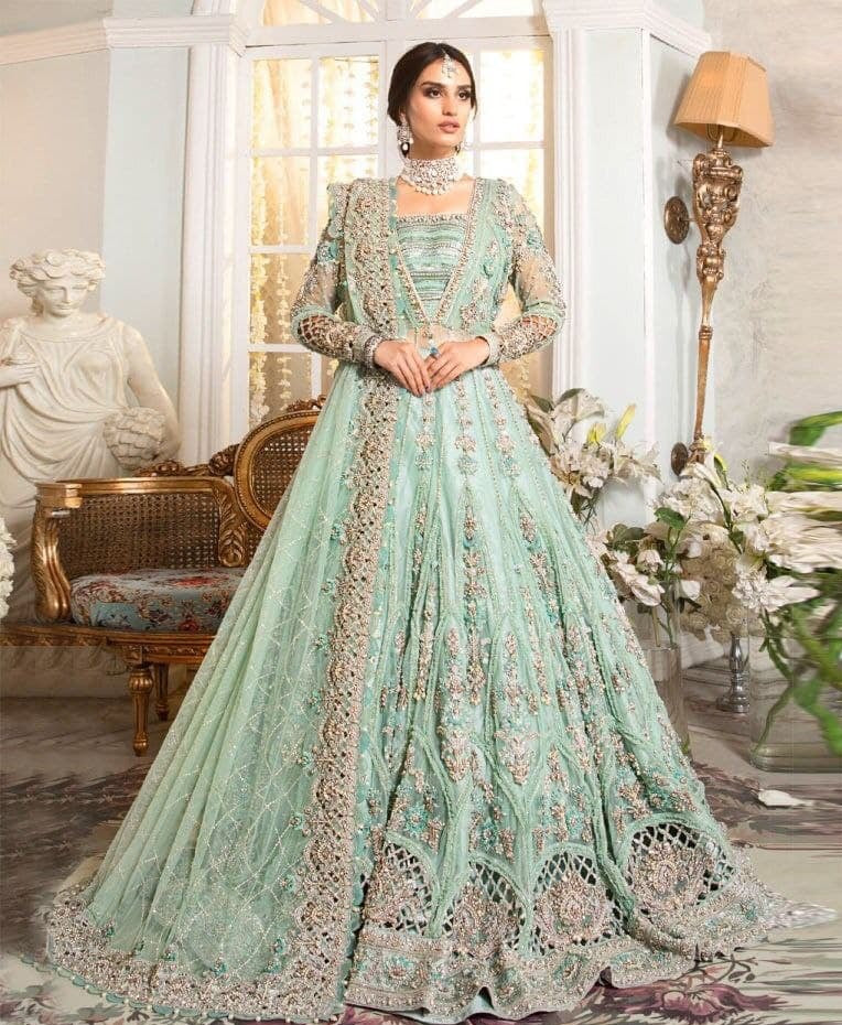 Aqua Gown In Butterfly Mono Net With Embroidery Work