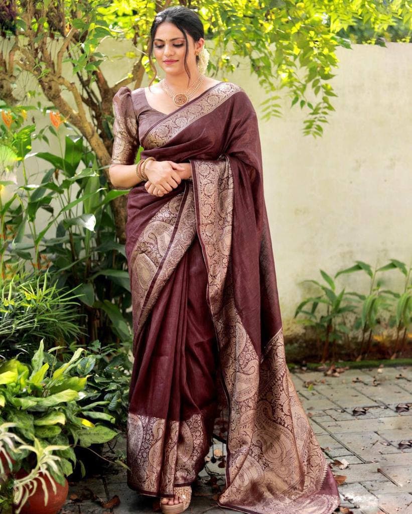 Coffee Lichi Silk Banarasi Saree With Blouse