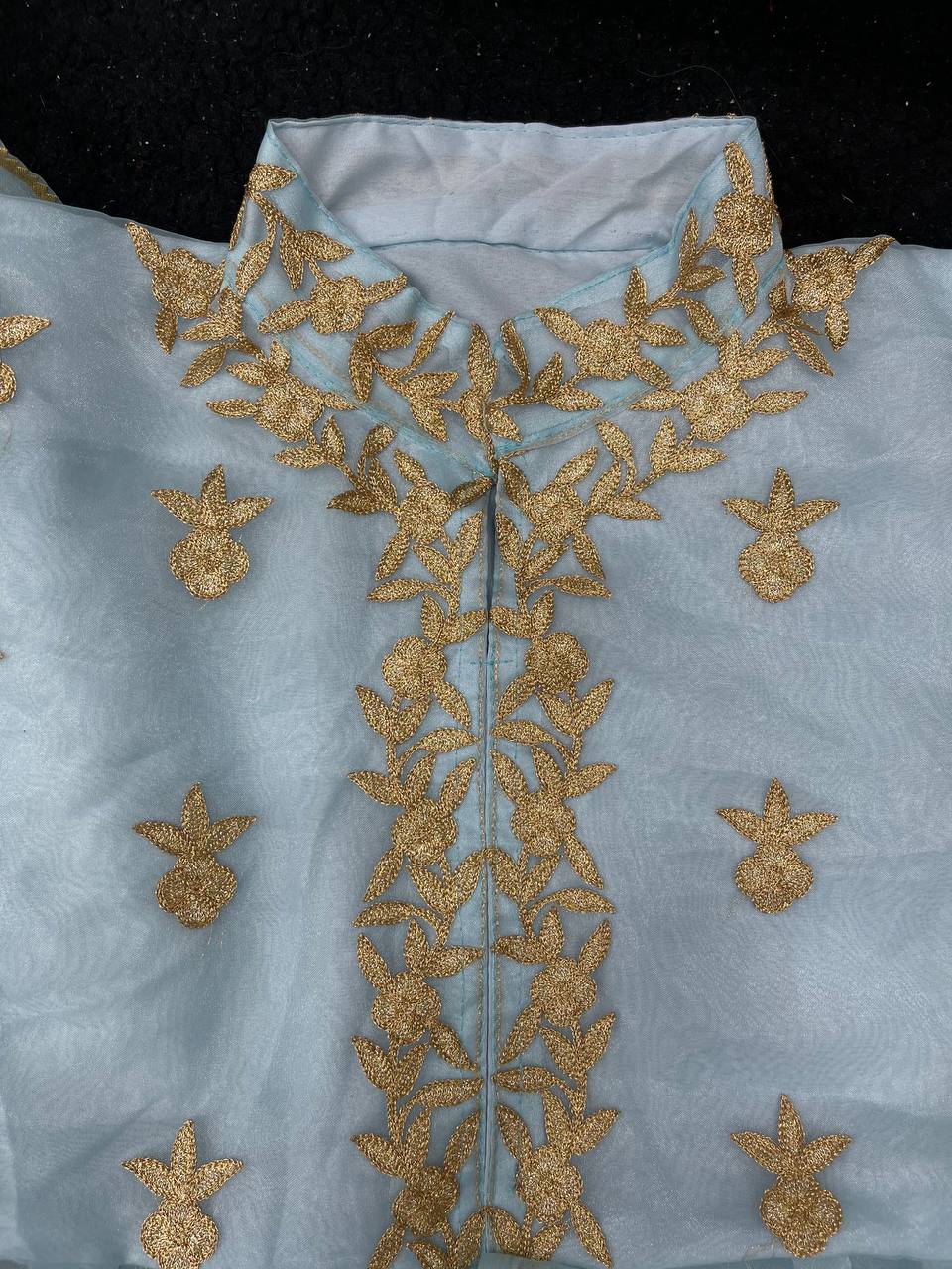 Sky Blue Organza Silk Embroidery Work Saree With Stitched Blouse