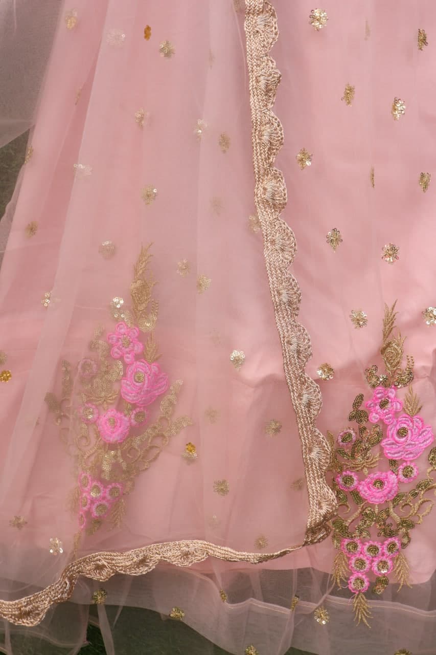 Baby Pink Lehenga choli In Butterfly Mono Net With Embroidery Sequence Work